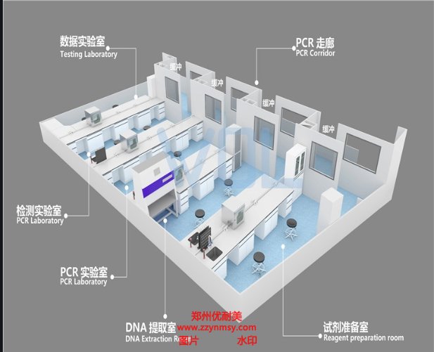 鄭州PCR實驗室裝修的基本要求有哪些？