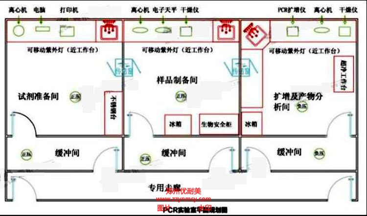 標準PCR實驗室建設(shè)方案效果圖